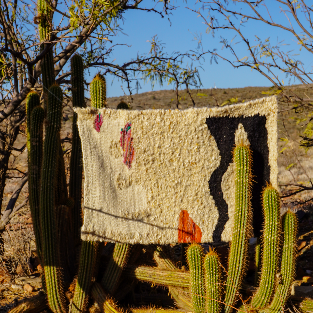 Ancient and Modern & Farm to Fabric, hosted by Polly Leonard of Selvedge Magazine, UK