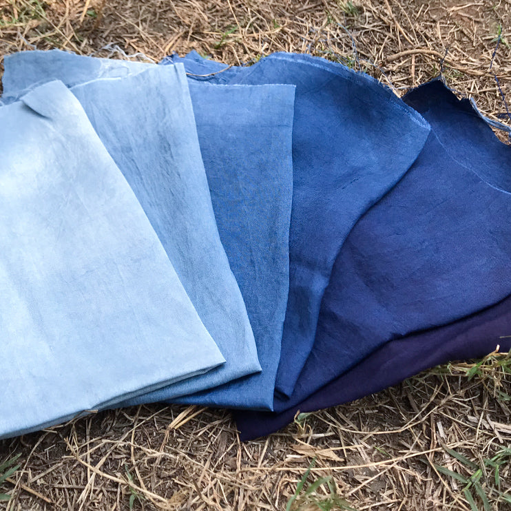 True Blue, hosted by Anuradha Singh of Nila House, Jaipur, India