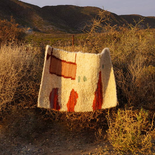 South Africa, Frances V.H, Mohair Rug 'The Original Sundance Kid'