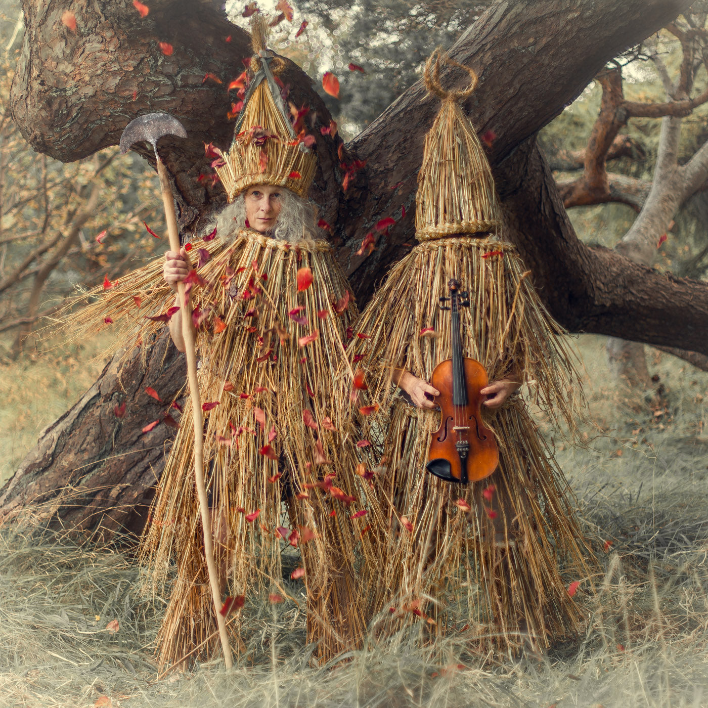 Harvest with Hilary Burns, Rachel Frost, Veronica Main and Karolina Merska