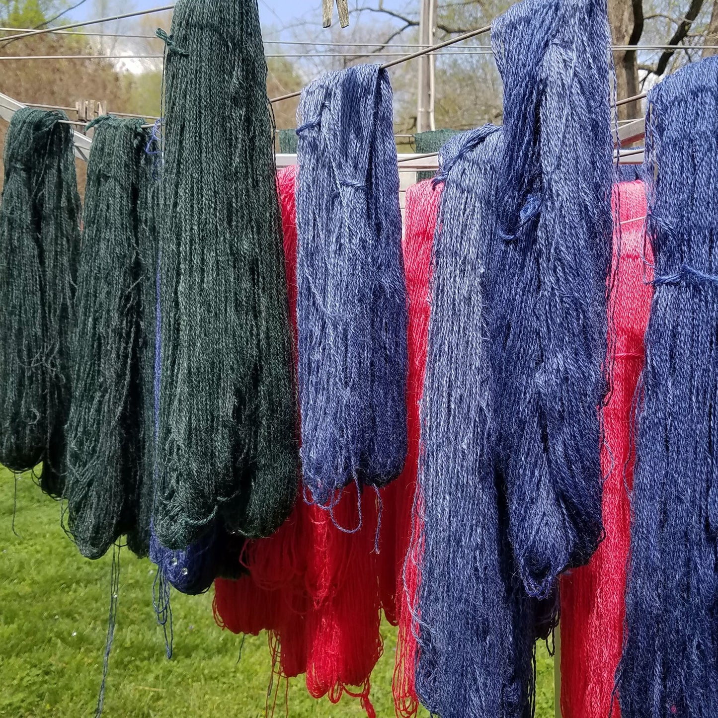 United States, Sweet Tree Hill Farm / Kathleen Oliver, Knitting