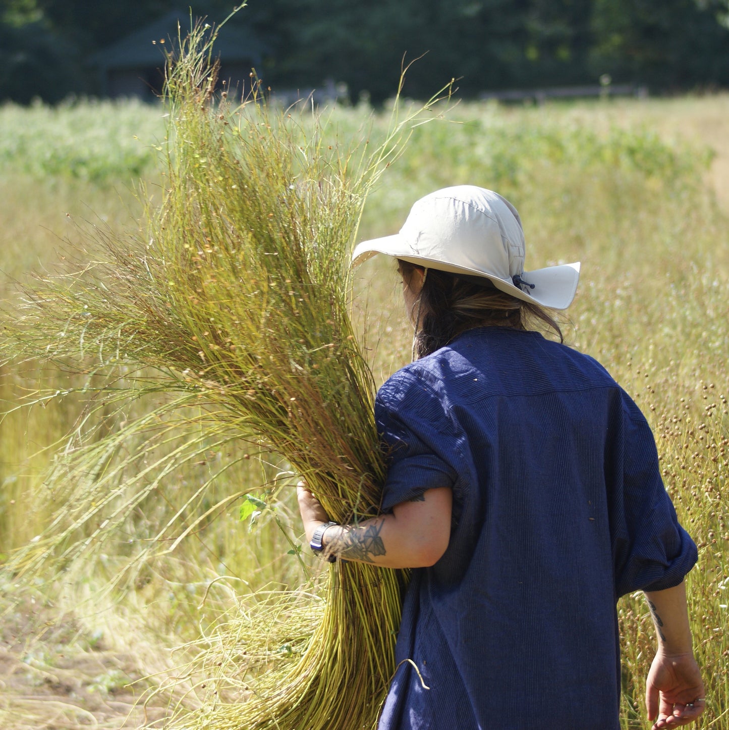 Linen with John Ennis, Flaxland, European Confederation of Flax & Hemp and The Linen Project