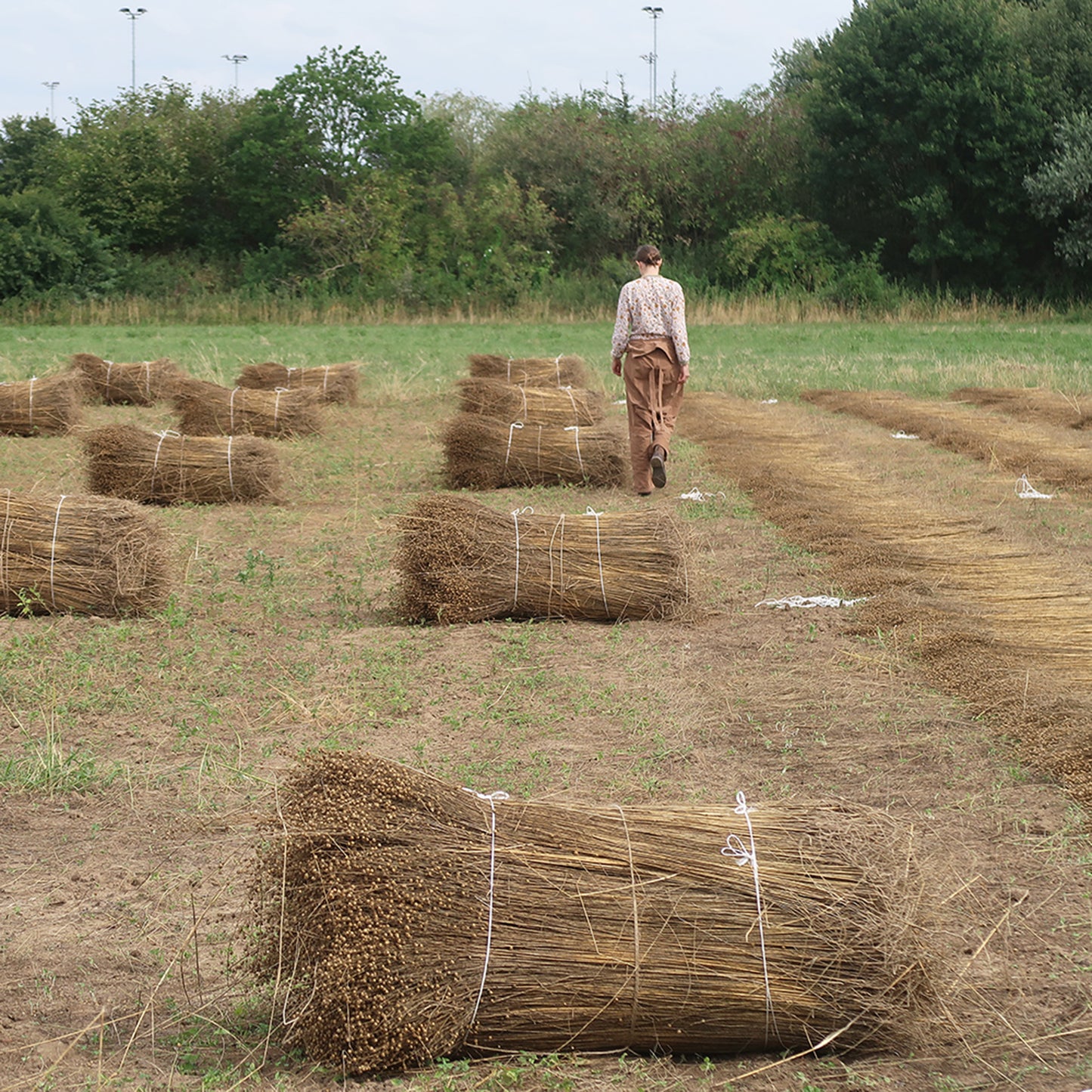 Linen with John Ennis, Flaxland, European Confederation of Flax & Hemp and The Linen Project