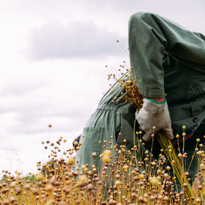 Linen with John Ennis, Flaxland, European Confederation of Flax & Hemp and The Linen Project