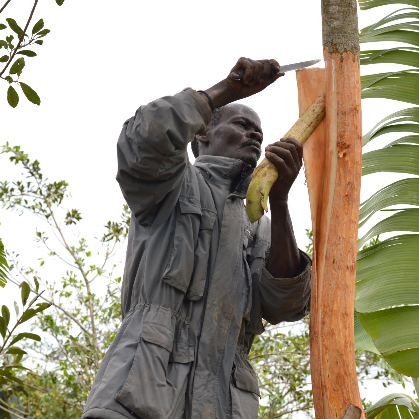 Uganda & United States Cross Cultural Collaboration, Mekeka Designs, Bark Cloth
