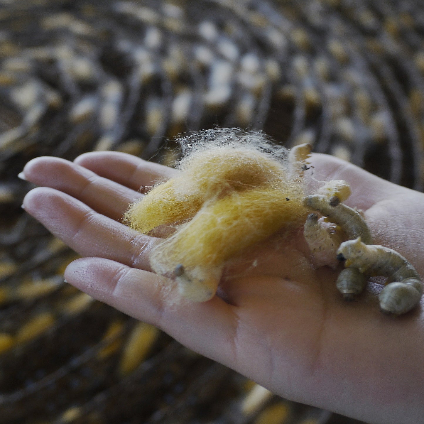 Ancient and Modern & Farm to Fabric, hosted by Polly Leonard of Selvedge Magazine, UK