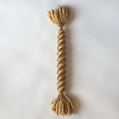 Harvest with Hilary Burns, Rachel Frost, Veronica Main and Karolina Merska