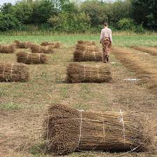 Ancient and Modern & Farm to Fabric, hosted by Polly Leonard of Selvedge Magazine, UK