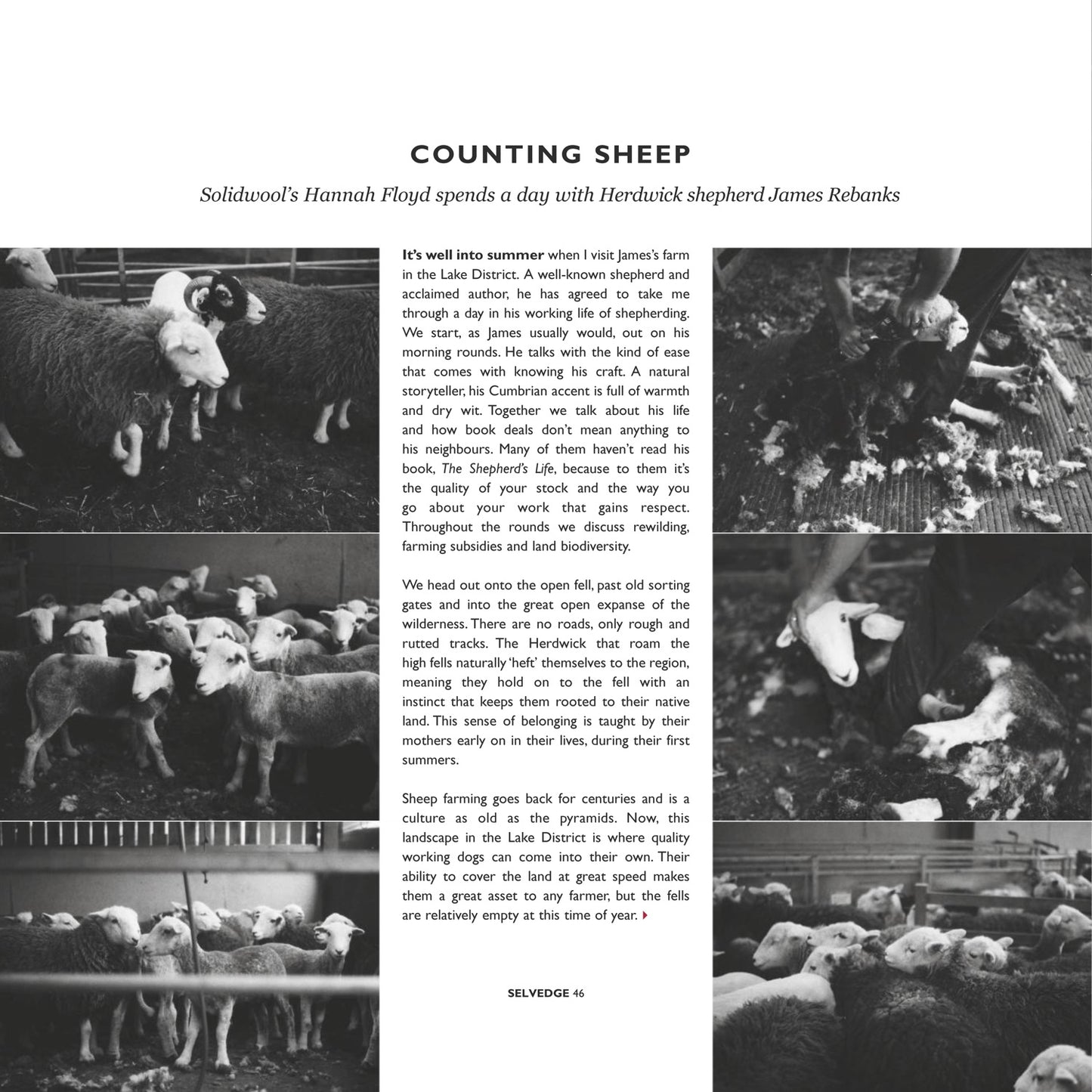 Issue 79 Luna - Selvedge Magazine