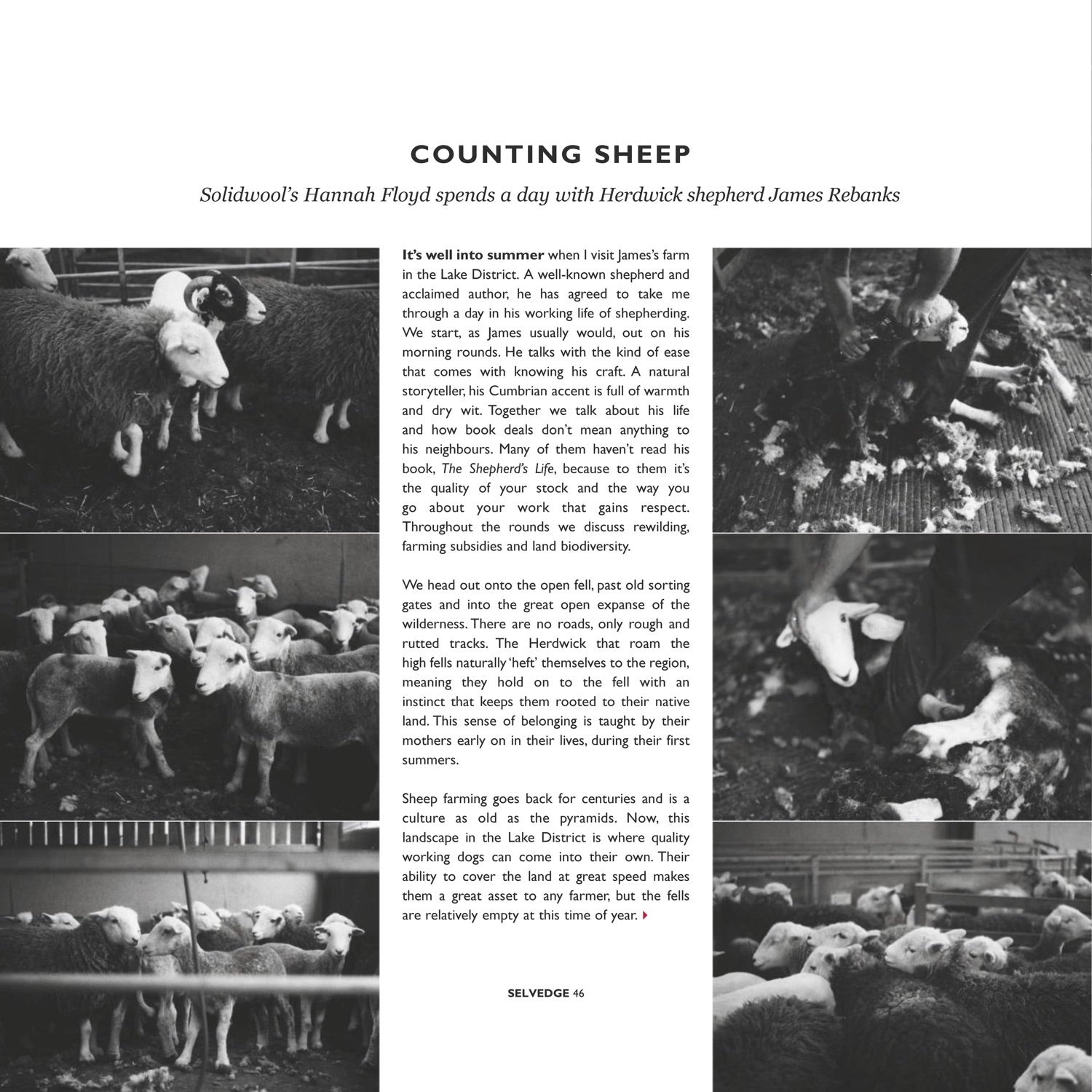 Issue 79 Luna - Selvedge Magazine
