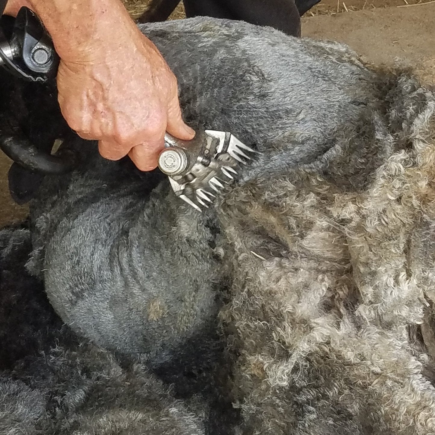 Ancient and Modern & Farm to Fabric, hosted by Polly Leonard of Selvedge Magazine, UK