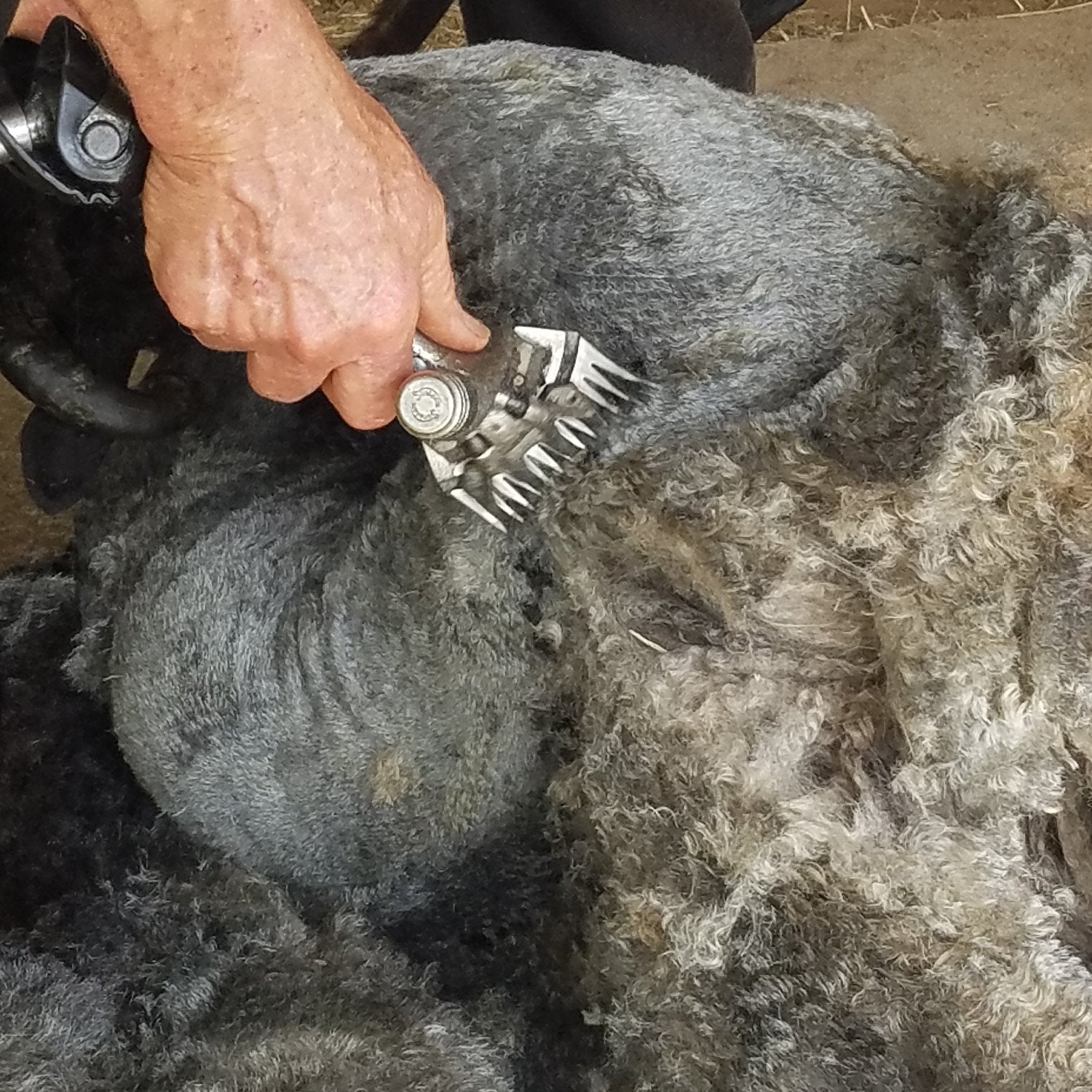 Ancient and Modern & Farm to Fabric, hosted by Polly Leonard of Selvedge Magazine, UK